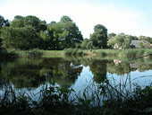Angelteich in Sophienhof